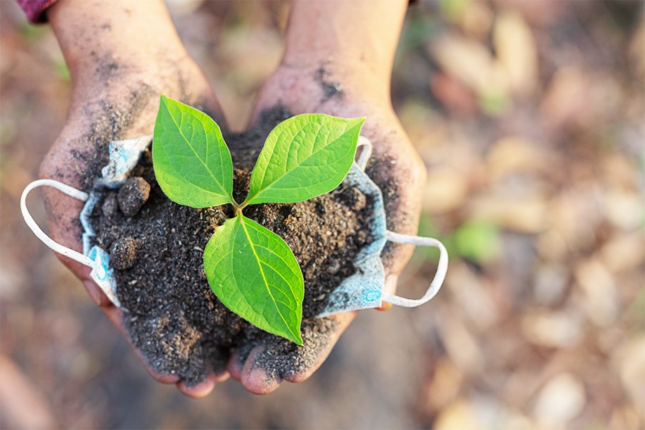 agrisoil