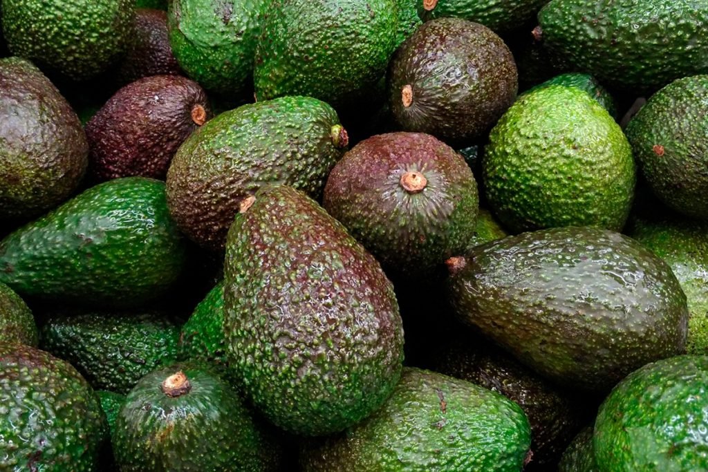 Palta