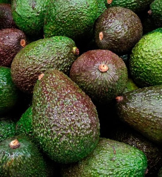 avocado