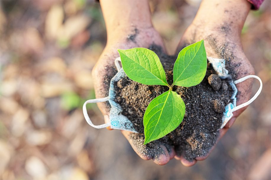 agrisoil
