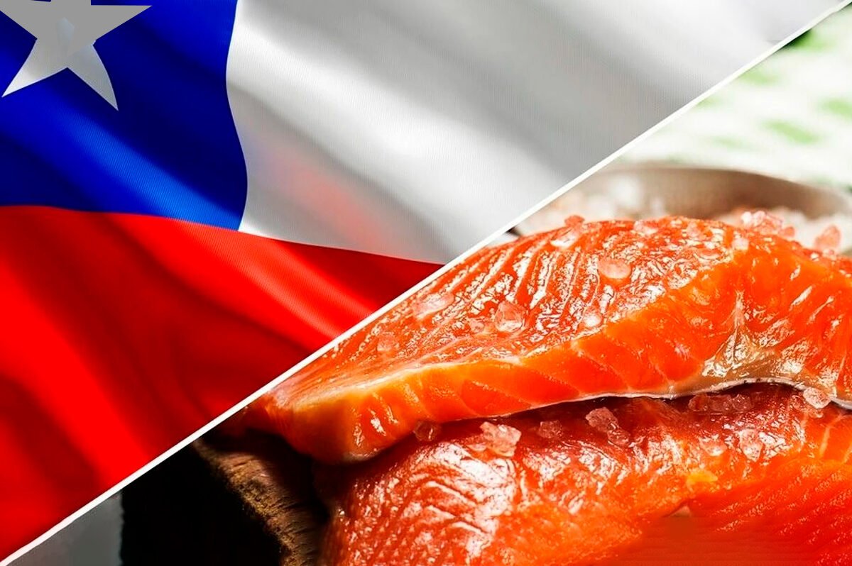 salmon-chile