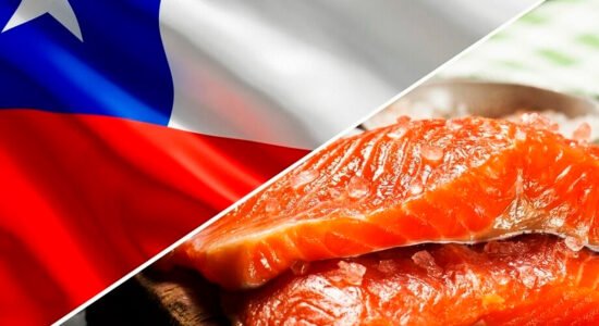 salmon-chile
