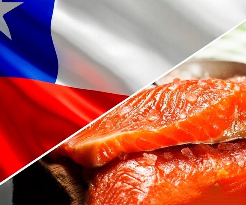 salmon-chile