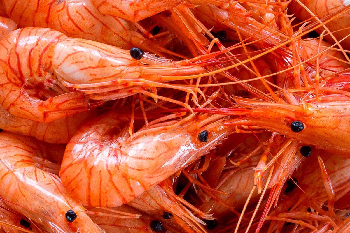 langostinos